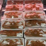 北海道産、オオズワイ蟹がこの値段なんやがこれって安いの？