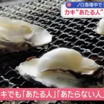 医師「牡蠣に“あたる人”と“あたらない人”の違いを解説します」