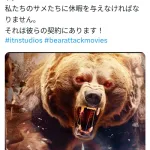 【悲報】サメ映画、遂に終わる。大手スタジオがクマ映画への転換を発表