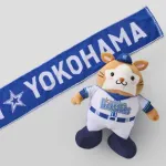 DeNAの今年退団するかもしれない選手wwwwwwwwwwwwwwwwww
