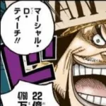 【朗報】ワンピースの黒ひげティーチ、ここにきて主人公感が出てくるｗｗｗｗｗ