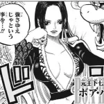 女帝ボア・ハンコック（31）さん「王下七武海になったのは強さゆえ」←これ