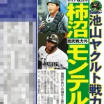 ヤクルト、元ロッテ柿沼友哉を獲得調査
