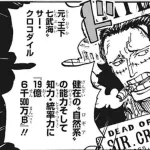 クロコダイル(懸賞金19億6500万ベリー)←こいつを倒したルフィにかける懸賞金が1億って