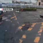 【秋田】クマさん🐻、ハローワークを訪れる