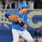 広島矢野西武滝澤日ハム山縣でも獲れないゴールデングラブ賞
