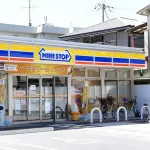 ミニストップ←こいつが天下取れなかった理由