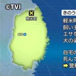 飼い犬、またクマに襲われる