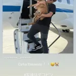 山本由伸の愛犬カルロス君ｗｗｗｗｗ