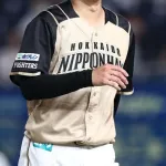 ７カ国渡り歩いた村田透が引退、古巣日本ハムのスカウトに