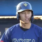 来年の阪神の『立石デバニー』の二遊間、強すぎる