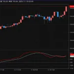 【速報】1ドル 155.65円ｗｗｗｗｗｗｗｗｗｗｗｗｗｗｗ