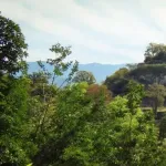 日本「戦国大名の城の大半を失いました」←これ