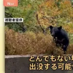 【正論】元東出昌大「クマ報道がすごいな、クマそんなに危なくないって」