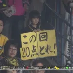 面白い画像貼ってや