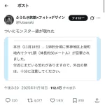 【悲報】50メートル級の巨大クマが目撃される
