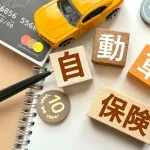 自動車保険1年で22000円だったんやが