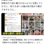 中川翔子さん「猫で詐欺をする奴に気をつけて！」