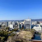 和歌山県の名物ってなに？