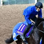 【マイルCS】  ソウルラッシュ、早仕掛けCデムで連覇だ！