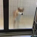 保存した中で一番最新の画像貼ってけ