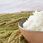 お米好きの人に聞きたいんやが