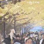 3連休にやったことｗｗｗｗｗｗｗｗｗｗｗｗｗｗ
