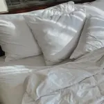 【急募】すまん、一人暮らしってベッドいるんか？ｗｗｗｗｗｗｗｗｗｗｗｗｗｗｗｗ