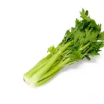 セロリとか言う緑野菜で一番不味い雑草