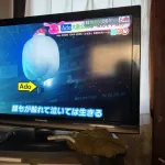 【速報】Adoちゃん、ついに檻から出て客席の前まで飛んでいってしまう