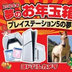 ヨドバシPS5福袋(6万円)←こいつの中身予想