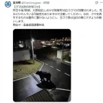 女川町が公式Xに「フェイク画像」のクマ投稿 注意喚起もその後 偽物と判明「作成者本人から連絡」