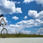 ロードバイク(楽しさSかっこよさS消費カロリーS)←この趣味