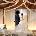 【悲報】たぬかなガチ恋勢、お気持ち表明wwwwwwwwwww