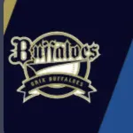 中日ドラゴンズ、三連覇前のオリックスを彷彿とさせる戦力が整う
