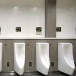 【画像】男子トイレに入ったら小便器がこれだった時の対処法