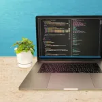 プログラミング技術ってどうしたら身につくんや？