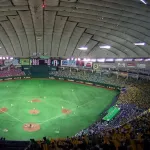 プロ野球の現地観戦で知ったこと「応援の一体感エグイ」「テレビ観戦の方が快適」
