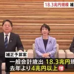 新規国債11.6兆円、一般歳出18.3兆円で閣議決定へｗｗｗｗｗｗｗｗ