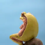 【画像】蛙化する女の子の本能、説明されるｗｗｗｗｗｗ