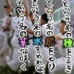 【画像】　待ち受け画面がこれだった奴ｗｗｗｗｗ