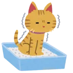 家の庭で猫がうんこしていくんやけど