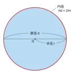 彡(ﾟ)(ﾟ)「半径5mってことは直径10mやん」