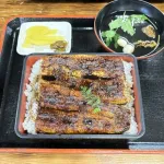 店のうなぎ食べたことないやつ