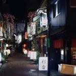 【謎】田舎の人って車必須やけど飲みに行く時どうしてんの？