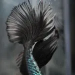 メラニズムの美しい生き物で打線組んだ