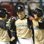 日ハム時代の大谷翔平と中田翔って性格が真逆で話が合わなそうだけど、一緒にやれたんか?