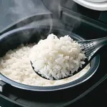 【疑問】炊飯器て10万くらいするやつあるが、1万くらいの炊飯器とそんな違うのか？