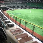 佐藤輝と大山「甲子園にもホームランテラス設置して」→阪神「甲子園は阪神の持ち物ではありません」