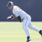 阪神タイガース、レフト候補が14人もいる件